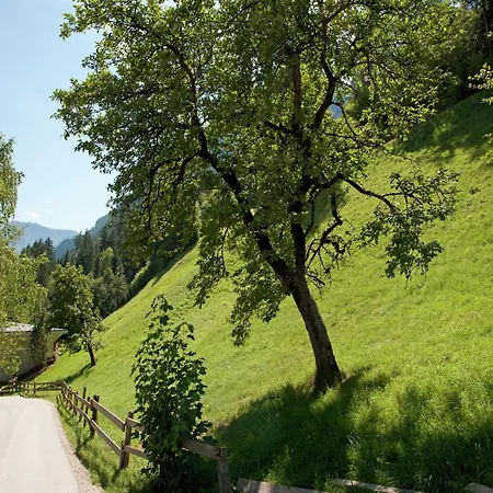 شقة Grand In Mayrhofen With Infrared Sauna & Artistic Interiors رامسو ام زيلرتال
